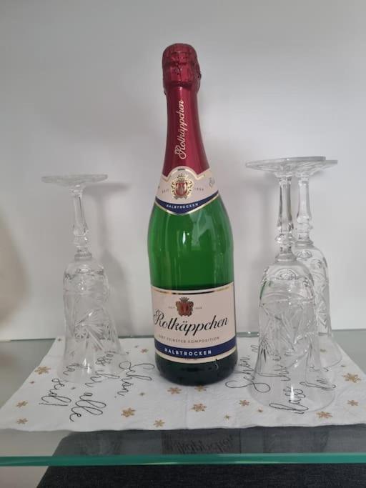 Ferienwohnung *Zur Weinbergstrasse* Lauta Extérieur photo