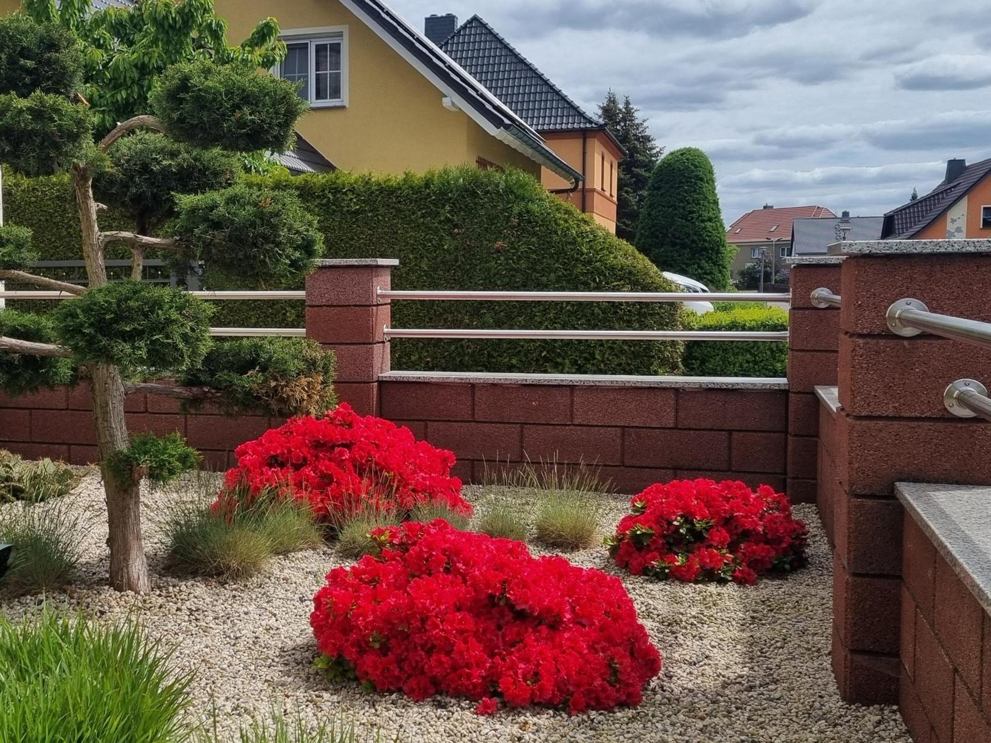 Ferienwohnung *Zur Weinbergstrasse* Lauta Extérieur photo